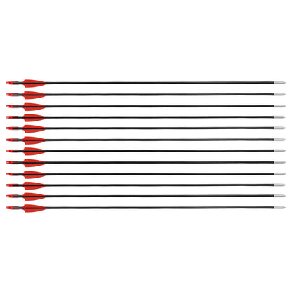 Compound Bow For Adults, Right Hand, Hunting Kit: 3 Pin Lighted Sight For ] Hunting, Training