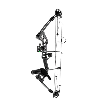 Right Handed Compound Bow Kit Adults and Teens Compound Bow Archery Hunting Equipment with 12 Arrows 30-55lbs Adjustable