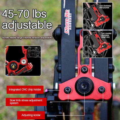 Compound Bow Pulley Bow, Steel Ball and Arrow Dual-purpose Adult Bow High Precision Shooting