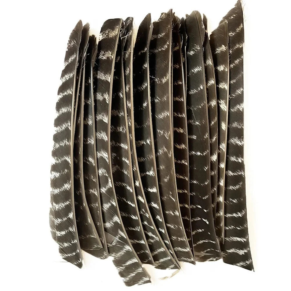 Archery Turkey Feather Fletches 50 Pieces Real Natural Turkey Vanes