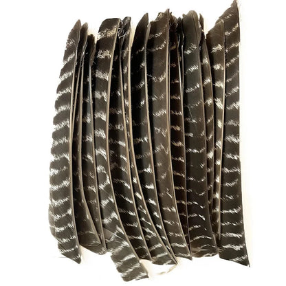 Archery Turkey Feather Fletches 50 Pieces Real Natural Turkey Vanes