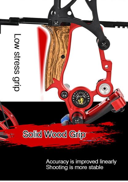 Compound Bow Pulley Bow, Steel Ball and Arrow Dual-purpose Adult Bow High Precision Shooting