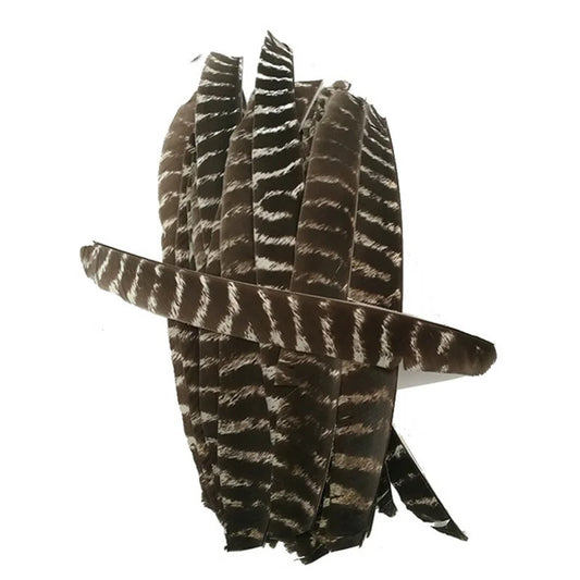 Archery Turkey Feather Fletches 50 Pieces Real Natural Turkey Vanes