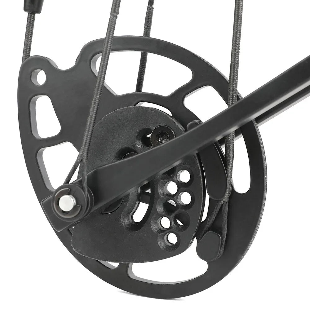 Adjustable Compound Bow Arrow Set with Spine 500 Carbon Arrows 20-70lbs 320FPS High-Strength Alloy Handle RH/LH