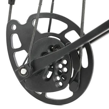 Adjustable Compound Bow Arrow Set with Spine 500 Carbon Arrows 20-70lbs 320FPS High-Strength Alloy Handle RH/LH