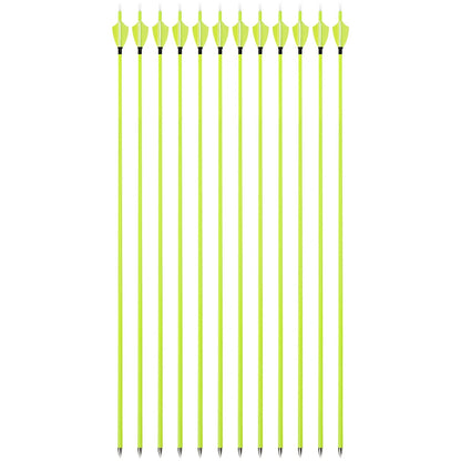 Mixed Carbon Arrows 12pcs 30/31 Inch Spine1500 ID4.2mm with 2 Inch Vanes