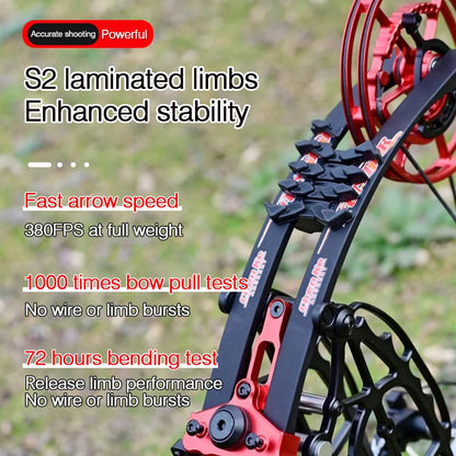 Compound Bow Pulley Bow, Steel Ball and Arrow Dual-purpose Adult Bow High Precision Shooting