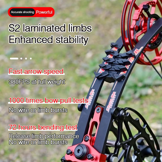 Compound Bow Pulley Bow, Steel Ball and Arrow Dual-purpose Adult Bow High Precision Shooting