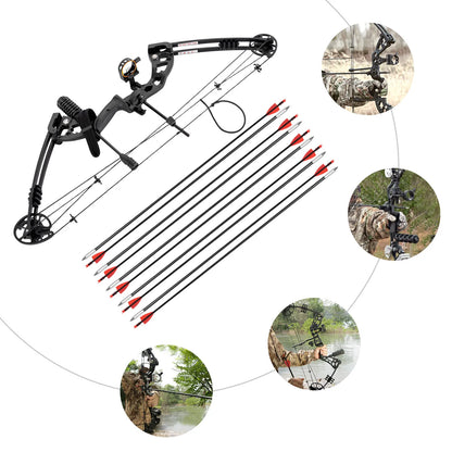 Right Handed Compound Bow Kit Adults and Teens Compound Bow Archery Hunting Equipment with 12 Arrows 30-55lbs Adjustable