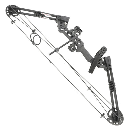 Adjustable Compound Bow Arrow Set with Spine 500 Carbon Arrows 20-70lbs 320FPS High-Strength Alloy Handle RH/LH