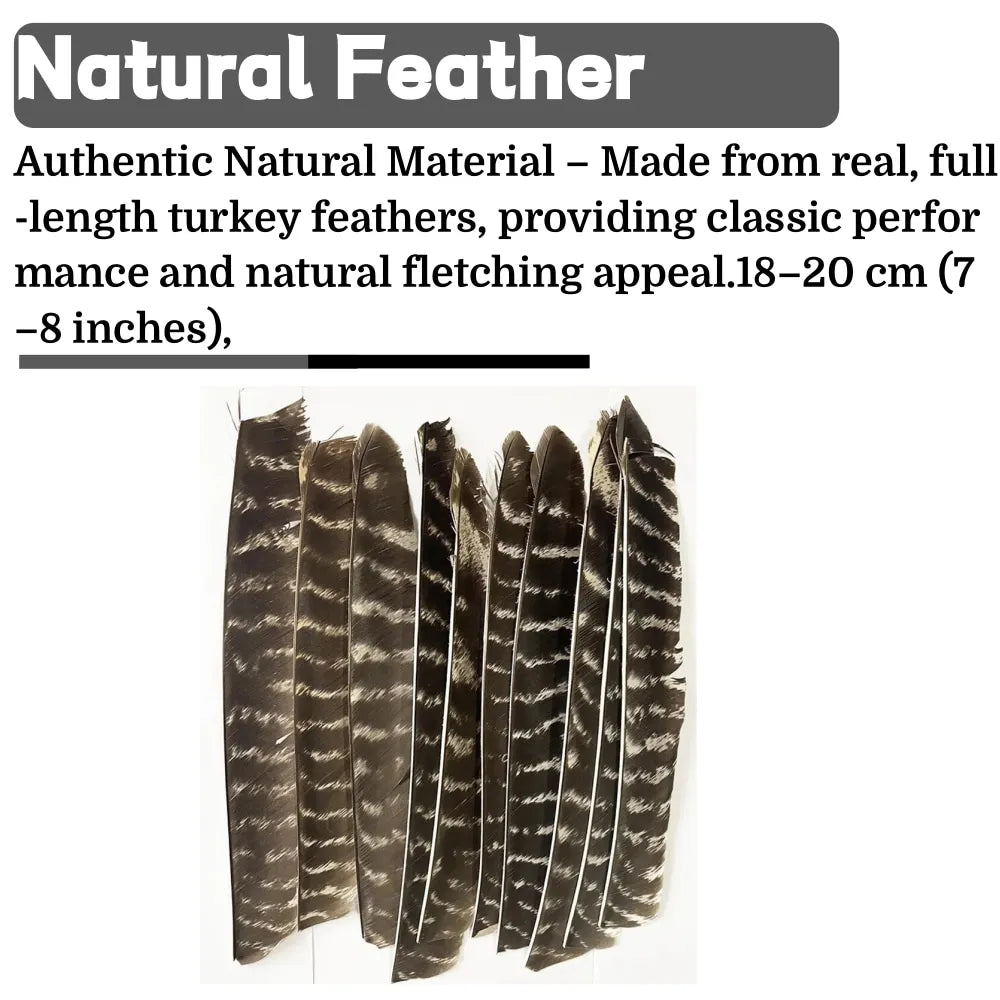 Archery Turkey Feather Fletches 50 Pieces Real Natural Turkey Vanes