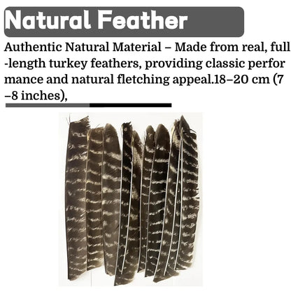 Archery Turkey Feather Fletches 50 Pieces Real Natural Turkey Vanes