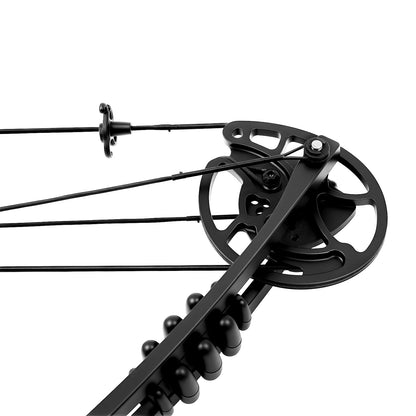 Compound Bow For Adults, Right Hand, Hunting Kit: 3 Pin Lighted Sight For ] Hunting, Training