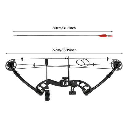 Compound Bow For Adults, Right Hand, Hunting Kit: 3 Pin Lighted Sight For ] Hunting, Training