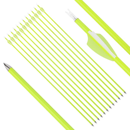 Mixed Carbon Arrows 12pcs 30/31 Inch Spine1500 ID4.2mm with 2 Inch Vanes