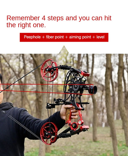 Compound Bow Pulley Bow, Steel Ball and Arrow Dual-purpose Adult Bow High Precision Shooting