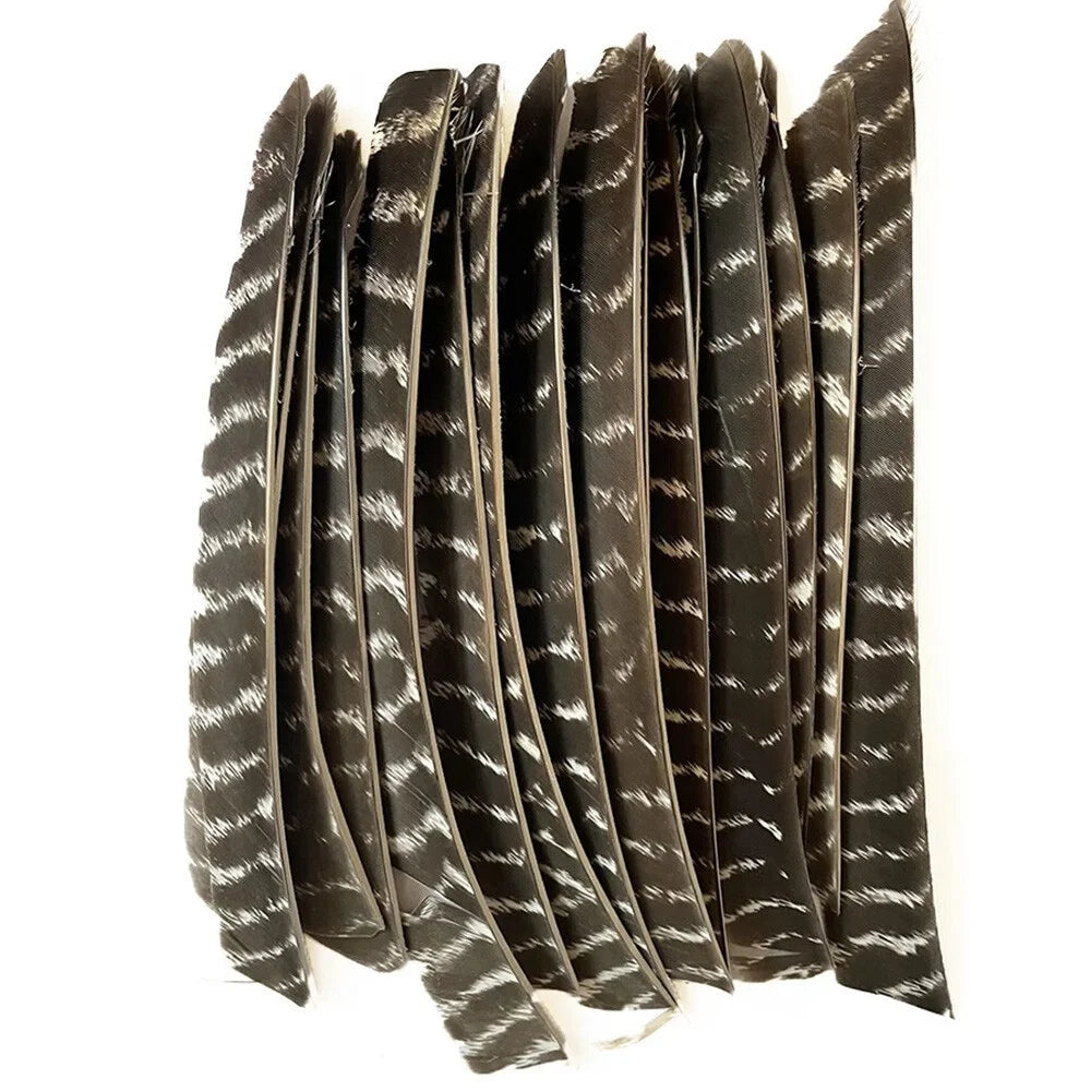 Archery Turkey Feather Fletches 50 Pieces Real Natural Turkey Vanes