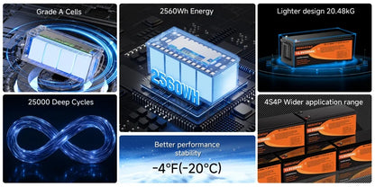WERCHTAY LiFePO4 12V Battery with BMS 25000 Cycles 100A 200A Lithium Battery