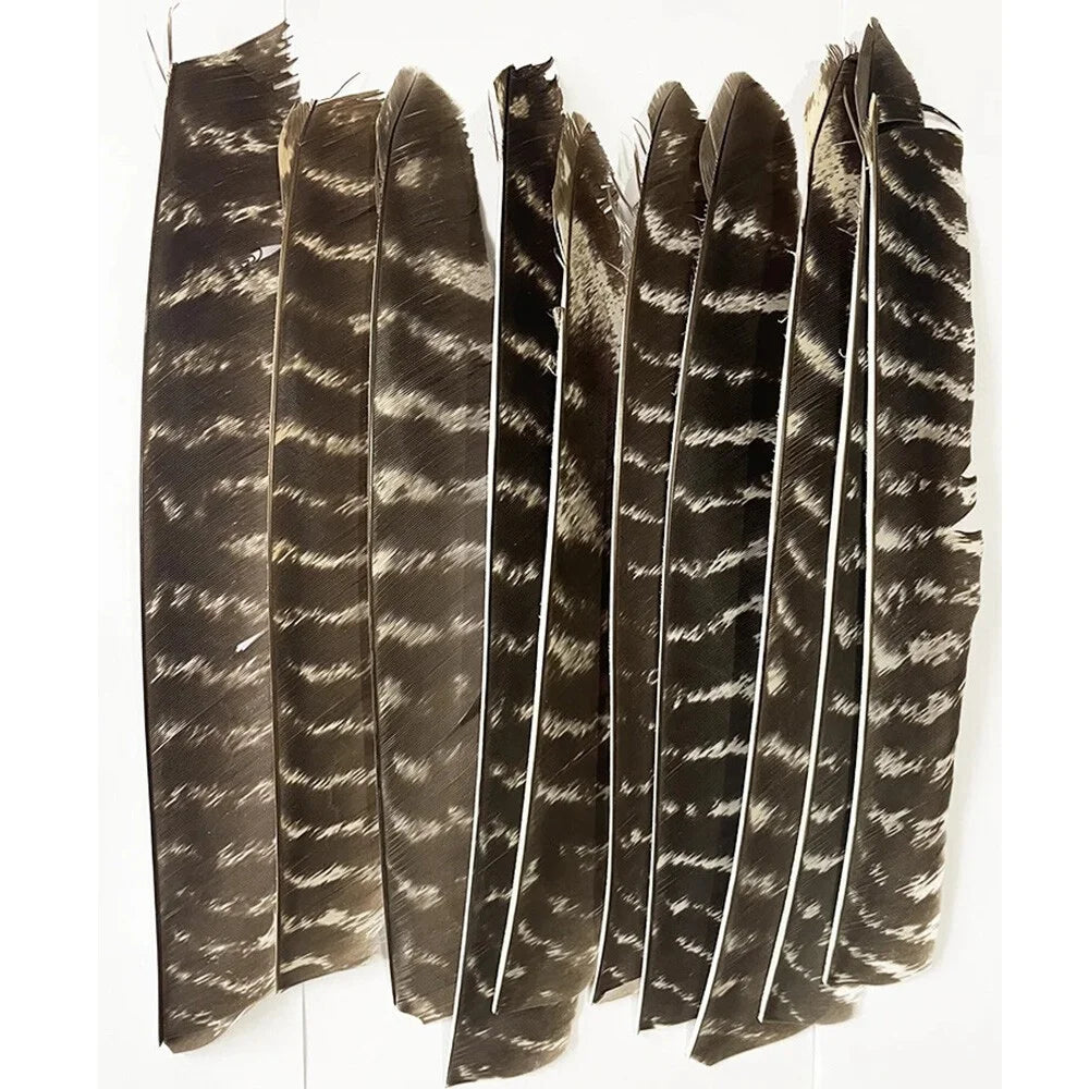 Archery Turkey Feather Fletches 50 Pieces Real Natural Turkey Vanes