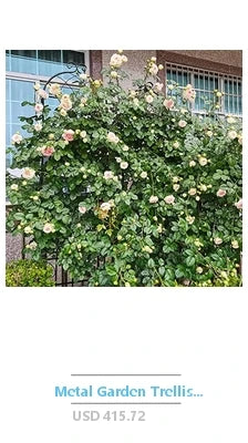 Dual Use Cast Iron Grill Griddle Cooking Surface