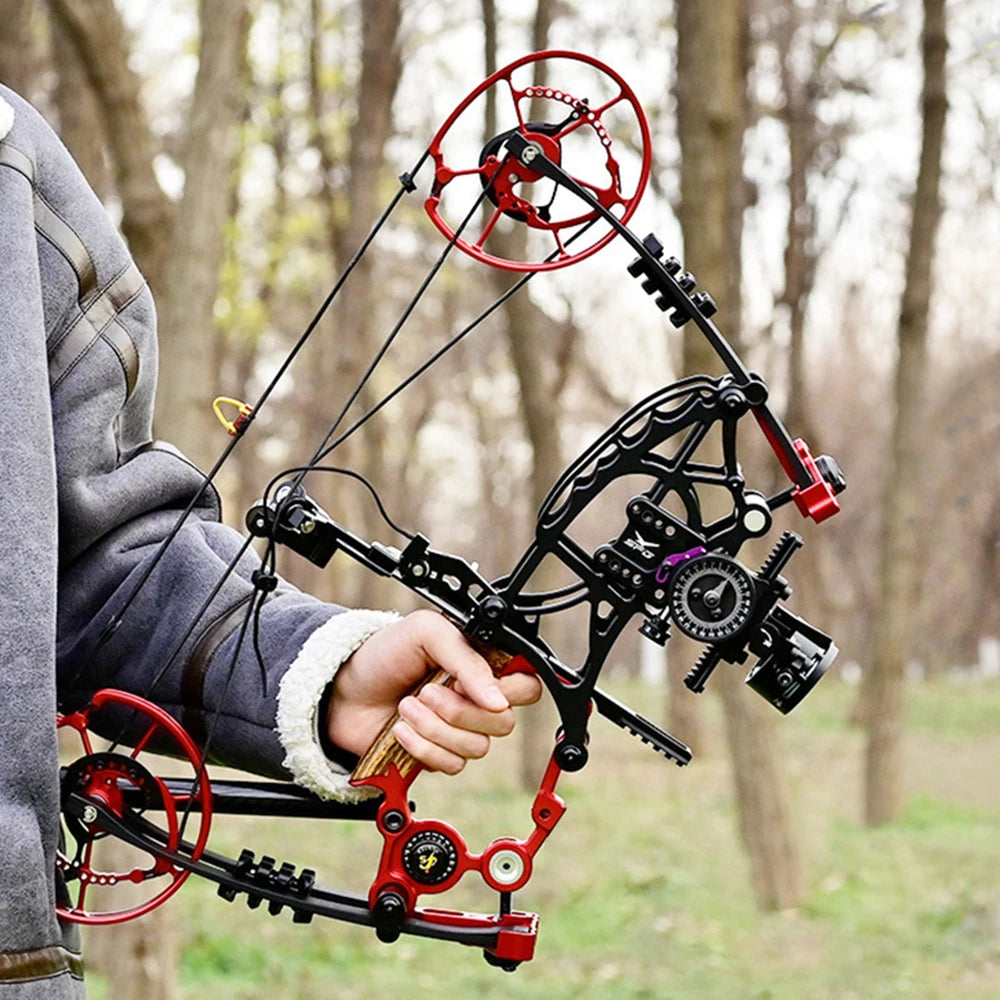 Compound Bow Pulley Bow, Steel Ball and Arrow Dual-purpose Adult Bow High Precision Shooting