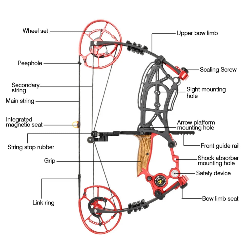 Compound Bow Pulley Bow, Steel Ball and Arrow Dual-purpose Adult Bow High Precision Shooting