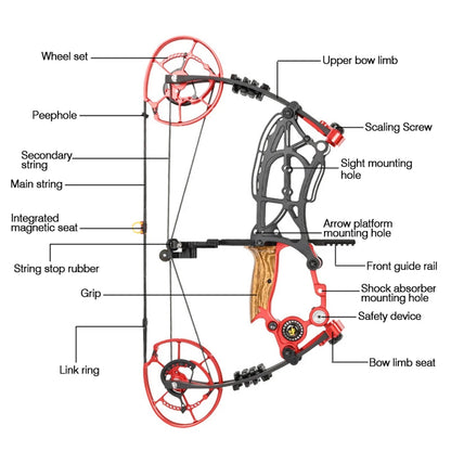 Compound Bow Pulley Bow, Steel Ball and Arrow Dual-purpose Adult Bow High Precision Shooting