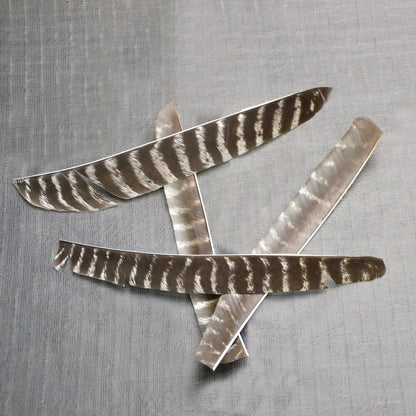 Archery Turkey Feather Fletches 50 Pieces Real Natural Turkey Vanes