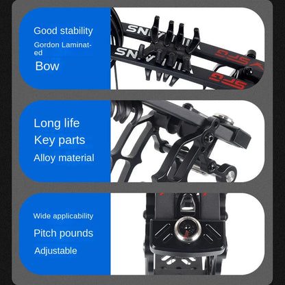 Compound Bow Adjustable Pound Draw Length,Dual-Use (Steel Balls/Arrows)