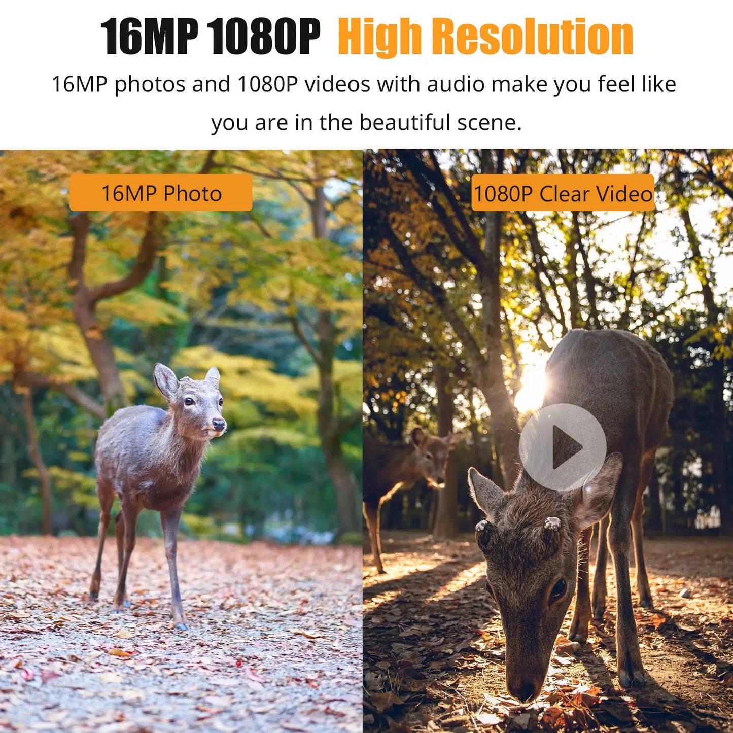 New 1080P LCD 16MP Hunting Trail Camera InfraredNight VisionWaterproof Motion Activated
